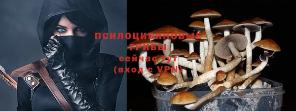 ECSTASY Волоколамск