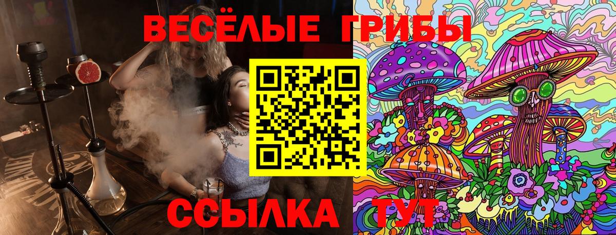 Псилоцибиновые грибы ЛСД  Мценск 