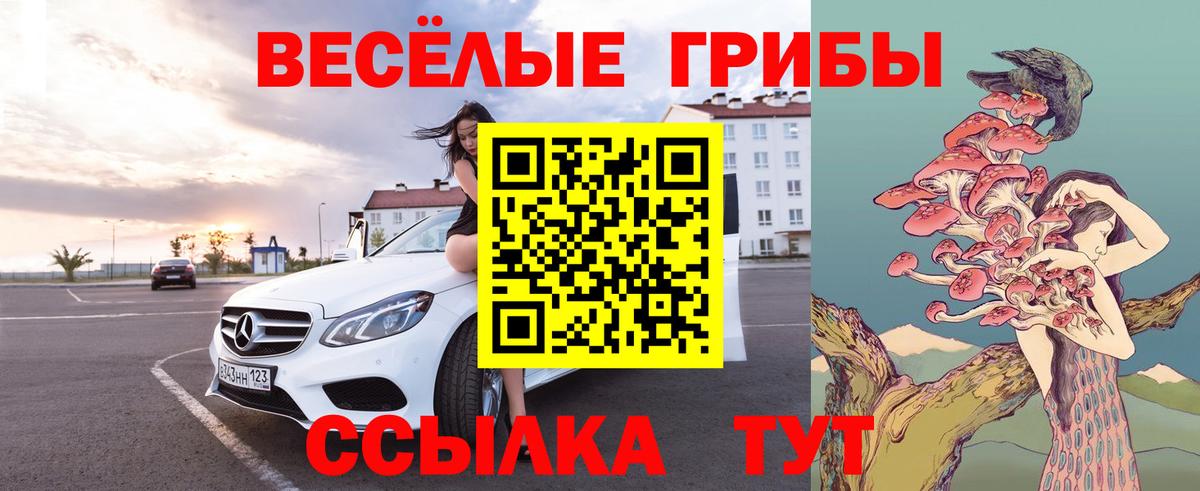 Псилоцибиновые грибы ЛСД  Вход с VPN  Мценск 