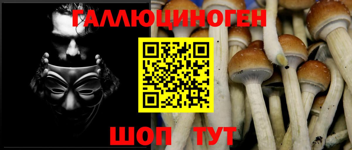 Галлюциногенные грибы мухоморы Мценск